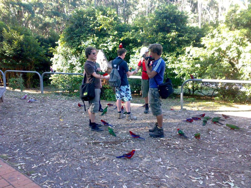 Batemans Bay Holiday Park & Hostel Extérieur photo